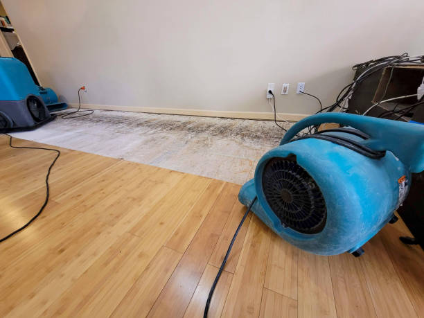 Professional Structural Drying technician working in Mansfield, TN